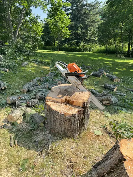 Élagage à Entrelacs