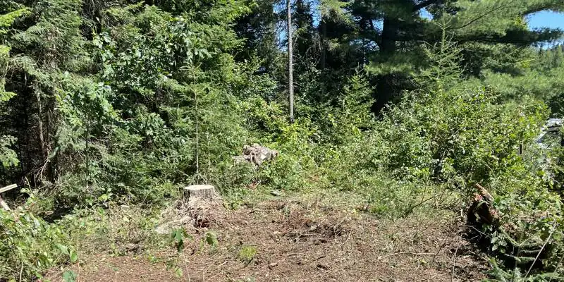 Émondage Prestige Laurentides